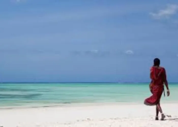 Dream Zanzibar Holidays- Detached Holiday Villa acceptant les animaux