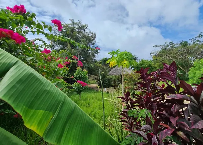 Apartamento Frangipani House Nungwi Zanzibar