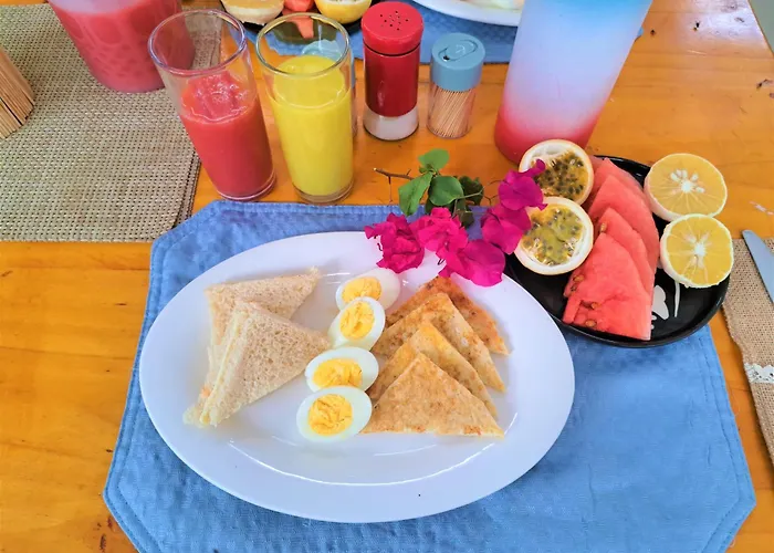 Pet friendly Pole Pole Boutique House Hotel Nungwi