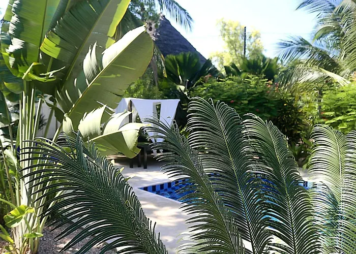Aurora Boutique Hotel Jambiani