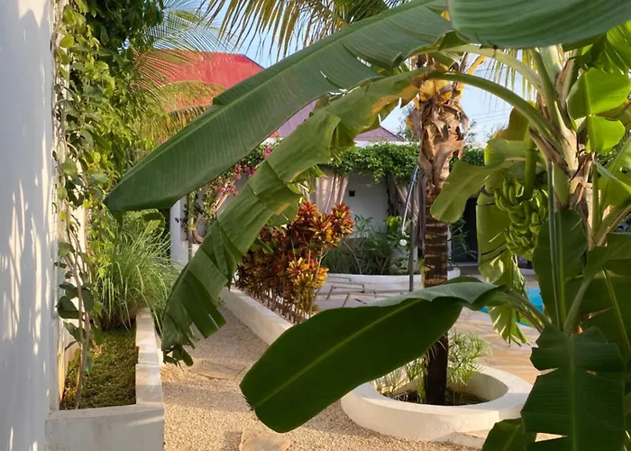 Cactus Lodge Zanzibar Nungwi