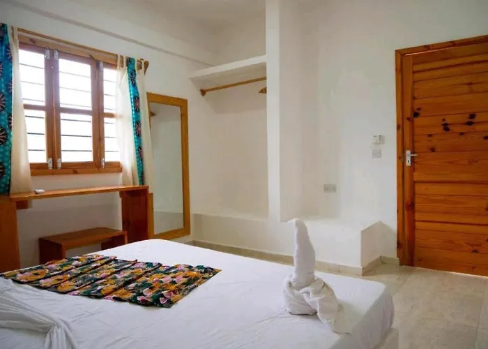 Bed and Breakfast Jahazi Nungwi admite animales