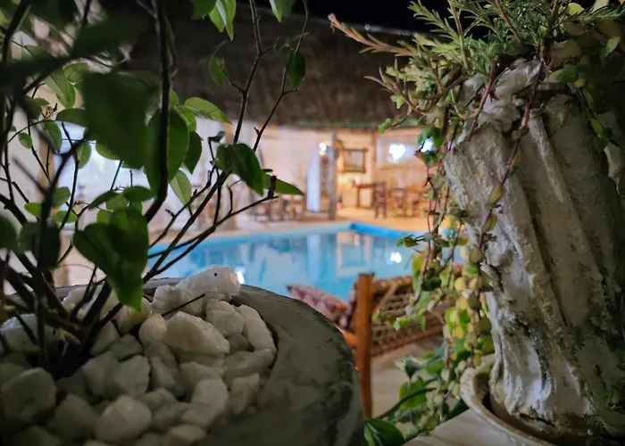 Nungwi Dog Friendly Hotels near Baraka Natural Aquarium- Nungwi