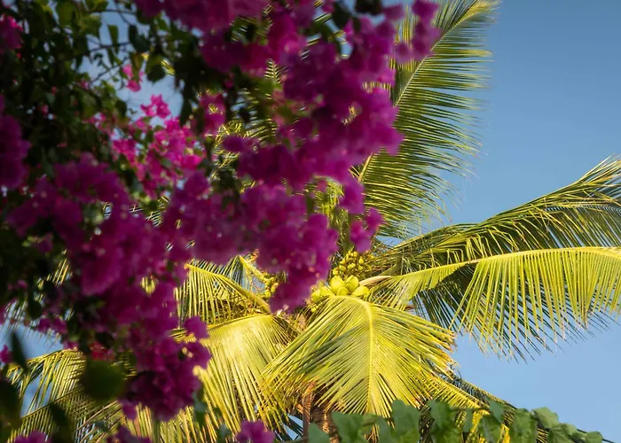Sharazad Boutique Hotel Jambiani 